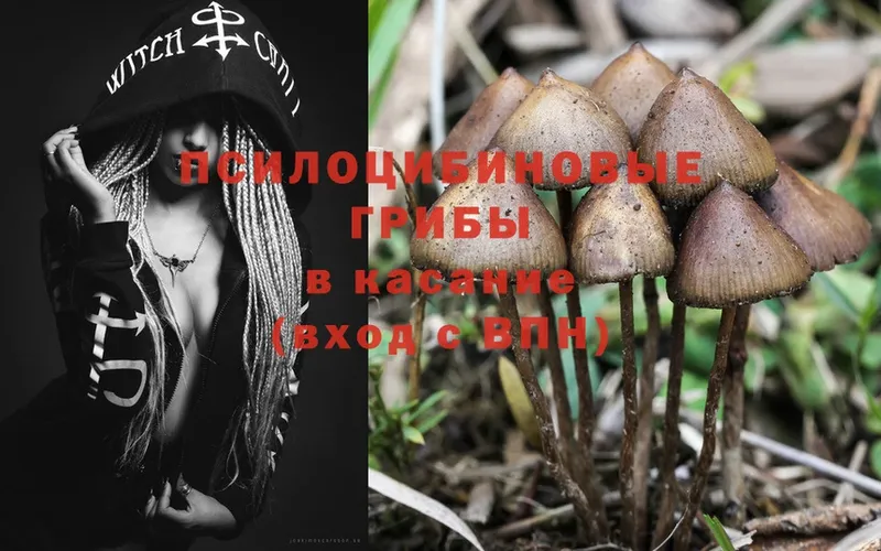 цены   Качканар  Галлюциногенные грибы MAGIC MUSHROOMS 